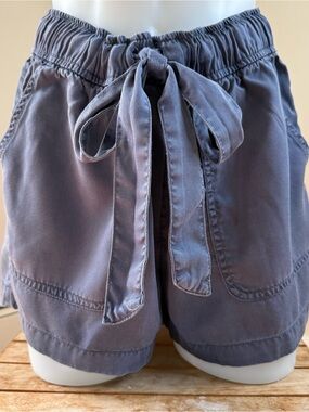 C&C California Blue-Gray Drawstring Shorts